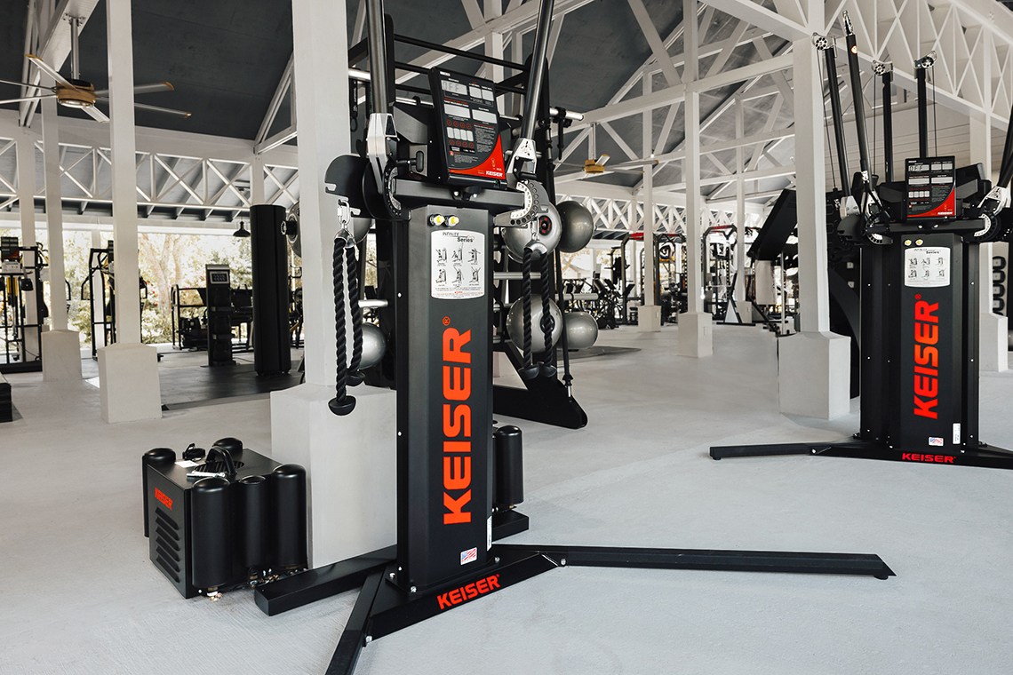 Champion Spirit 01 Hero