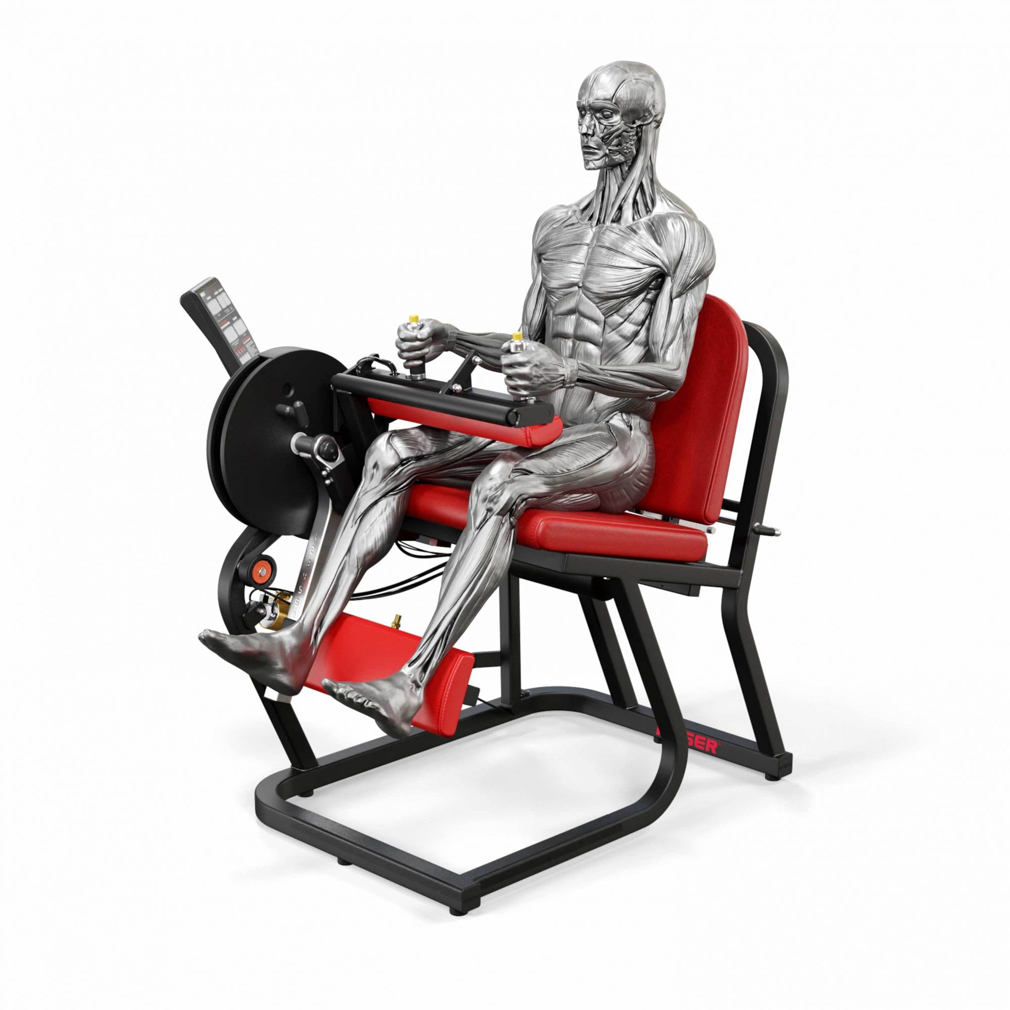 Seated Hamstring Curls Without Machine